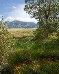 Restored Riparian Habitats - John Lorenz