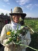 Cooking with dandelions - Sabine Borchers